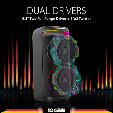 Outdoor party speaker 