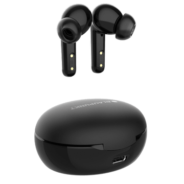 Recertified BTW100 BK  Recertified BTW100 BK RCT 